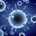 Flu Hospitalization Rate Week 29, 2026?