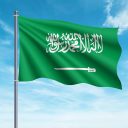 Houthi military action against Saudi Arabia by...?