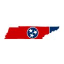 Tennessee Senate Election Winner